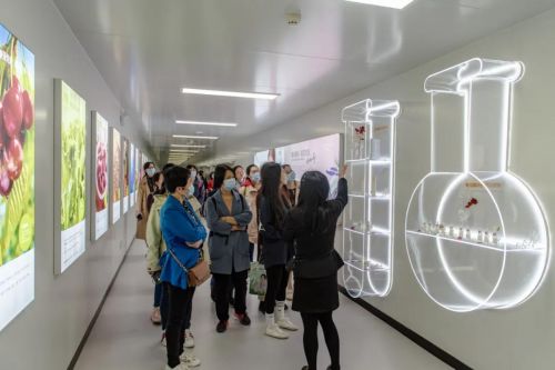 安琪紐特?cái)y手中國營養(yǎng)學(xué)會，專業(yè)賦能藥品零售行業(yè)人才培養(yǎng)