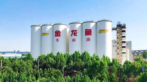 益海嘉里金龍魚八赴進(jìn)博之約 以科技健康雙輪驅(qū)動，三季度業(yè)績穩(wěn)中有進(jìn)