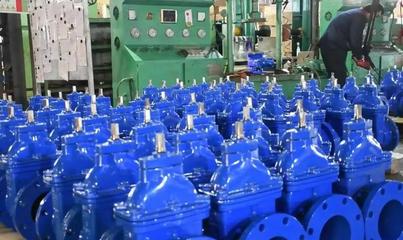 聚焦主戰略 錨定主定位 譜寫桑落墅鎮黃河流域生態保護和高質量發展新篇章